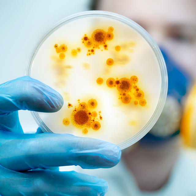 Bloodborne Pathogen Safety